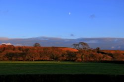 Budleigh Moon rise Wallpaper