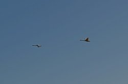 Budleigh Salterton Wallpaper