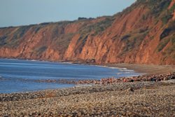Budleigh Christmas Day swim Wallpaper