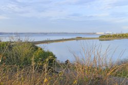 Riverside Country Park, Gillingham, Kent Wallpaper