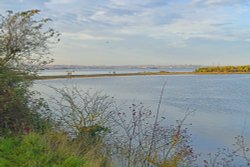 River Medway at Gillingham Riverside Country Park Wallpaper