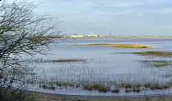 River Medway at Gillingham Riverside Country Park Wallpaper