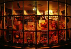 Christmas Bookshop Wallpaper