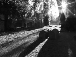 Peterborough Cathedral Churchyard In Black and White Wallpaper