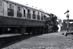 Bradley Manor Steam Train at Severn Valley Railway, Kidderminster Wallpaper