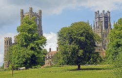 Ely Cathedral Wallpaper