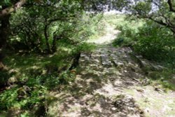 St Belermins Tor Wallpaper