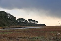 Otter Head at Budleigh Salterton Wallpaper