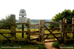 Cotswold Way, Coaley Peak, nr Coaley, Gloucestershire 2013 Wallpaper