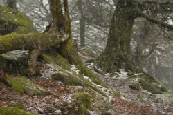 Hail Storm on Hen Cloud, The Roaches, Upper Hulme, Staffordshire Moorlands Wallpaper
