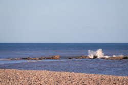 Ottermouth Wallpaper