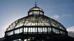 Sefton Park Palmhouse Wallpaper
