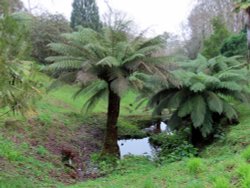 Glendurgan Gardens Wallpaper