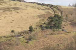Goyt's Lane near Buxton, Derbyshire Wallpaper