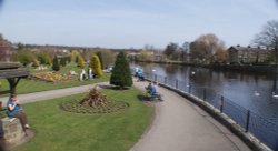 Tittybottle park Wallpaper