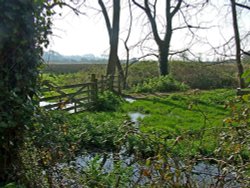 Kersbrook near Budleigh Salterton Wallpaper
