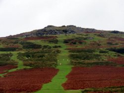 Dartmoor Wallpaper