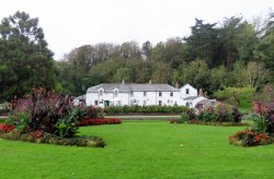 Newquay Gardens Wallpaper