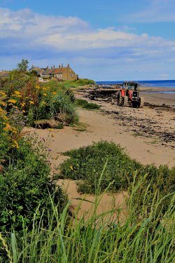 Boulmer Beach