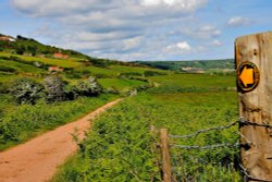 Cleveland Way at Ravenscar Wallpaper