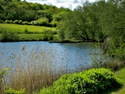 Poolsbrook Country Park, Staveley Wallpaper