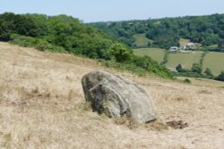 frog stone Wallpaper