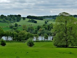 Yorkshire Sculpture Park, West Bretton Wallpaper