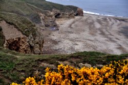 Blackhall Rocks Nature Reserve near Durham Wallpaper