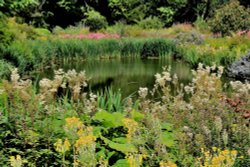 Bog Garden, Howick Hall, Craster Wallpaper