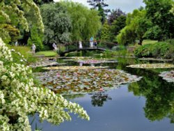Lake at Burnby Hall Gardens, Pocklington Wallpaper