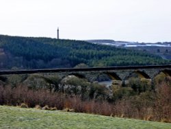 Derwent Valley Wallpaper