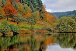 Autumn in the Dalby Forest Wallpaper