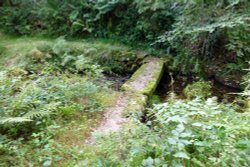 St Bellermins tor Wallpaper