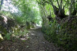 St Bellermins Tor Wallpaper