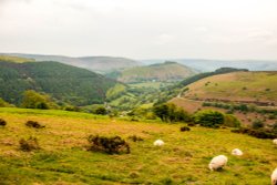 Horseshoe Pass Wallpaper