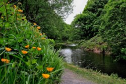 Huddersfield Narrow Canal Wallpaper