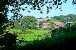 Tidwell Barton Wallpaper