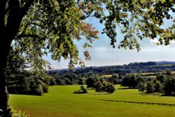 Parkland at Cannon Hall Country Park, Cawthorne Wallpaper