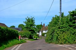 Knowle Lane Wallpaper