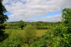East Budleigh Wallpaper