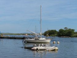 River scene at Town Quay in Christchurch Wallpaper