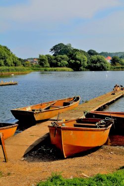 Rowing Boats Hornsea Mere