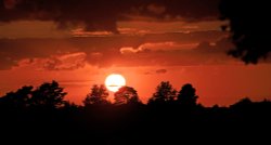 Ashdown Forest Sunset Wallpaper