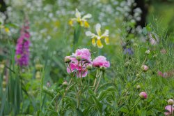 Stunning Spring Colours Wallpaper