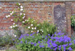 Riverhill Himalayan Gardens Wallpaper