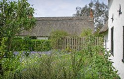 Cottage Garden Wallpaper