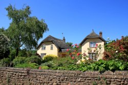 Dalditch Lane, Knowle Wallpaper
