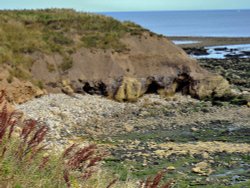Cliffs at Whitburn