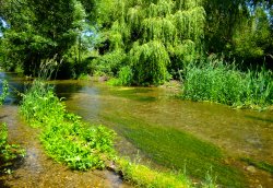 River Cray, Kent Wallpaper