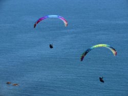 Flying  high Wallpaper